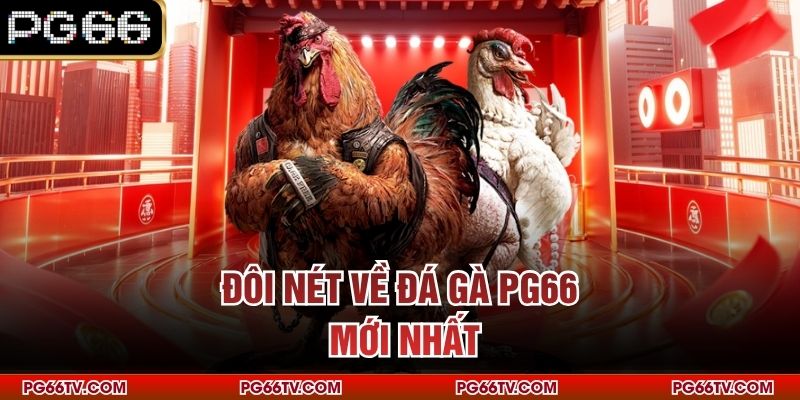 Đôi nét về đá gà PG66 mới nhất
